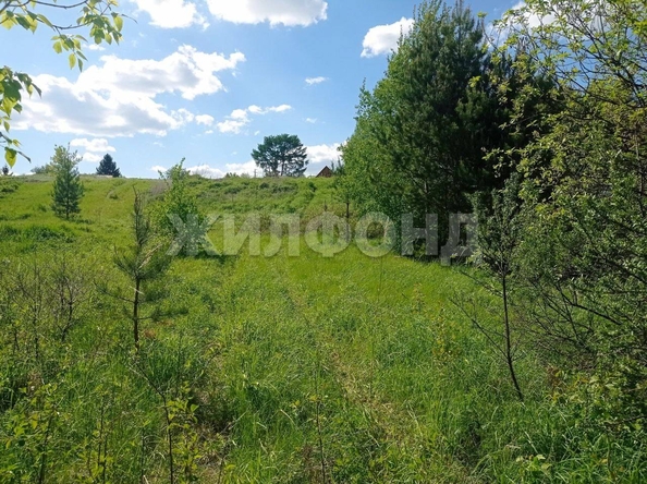 
  Продам  дачный участок, 13 соток, Кубовая село

. Фото 1.