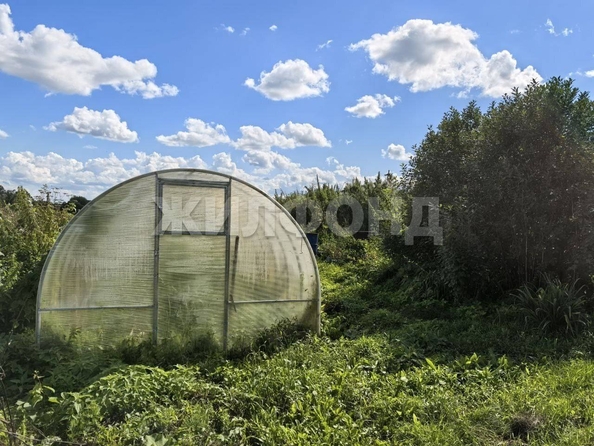 
   Продам дом, 48 м², Крохалевка

. Фото 8.