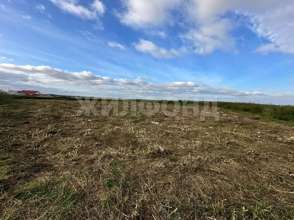 
  Продам  дачный участок, 25 соток, Прокудское

. Фото 4.