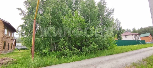 
  Продам  дачный участок, 7 соток, Новосибирск

. Фото 2.