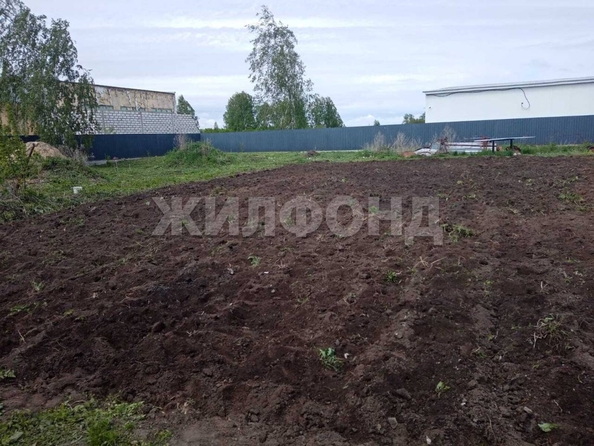 
  Продам  дачный участок, 14.11 соток, Новопичугово

. Фото 5.