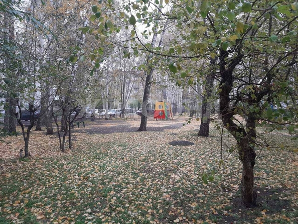 
   Продам 3-комнатную, 59.8 м², Невельского ул, 61

. Фото 17.