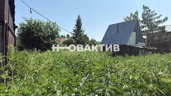 
  Продается дом, 44 м², рабочий поселок Коченево
. Фото 8.