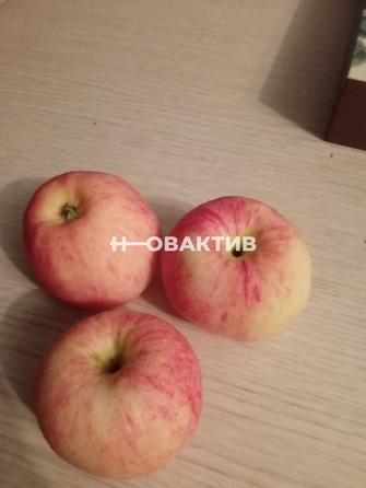 
   Продам коттедж, 20 м², Коченево

. Фото 31.