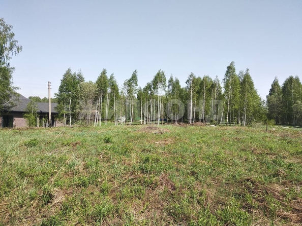 
  Продам  дачный участок, 9.2 соток, Каинская Заимка

. Фото 3.