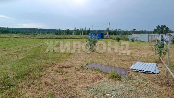 
  Продам  дачный участок, 10.1 соток, Кубовая село

. Фото 1.