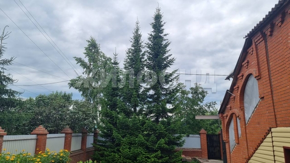 
   Продам дом, 198.5 м², Криводановка село

. Фото 6.