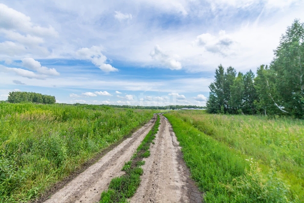 
  Продам  участок ИЖС, 10 соток, Пушкино

. Фото 1.