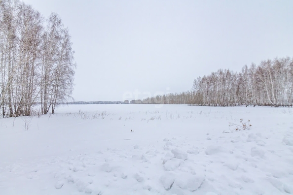 
  Продам  участок ИЖС, 16 соток, Пушкино

. Фото 7.