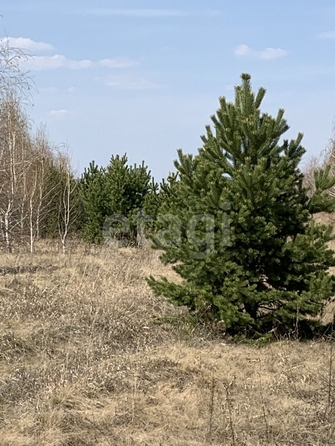 
  Продам  участок ИЖС, 6 соток, Новотроицкое

. Фото 7.