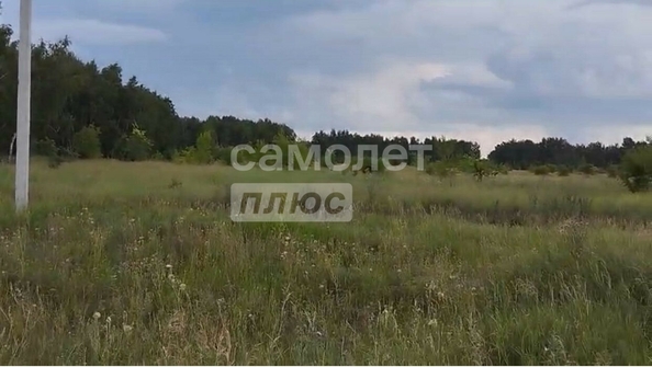 
  Продается земельный участок, 15 соток, Омск
. Фото 2.
