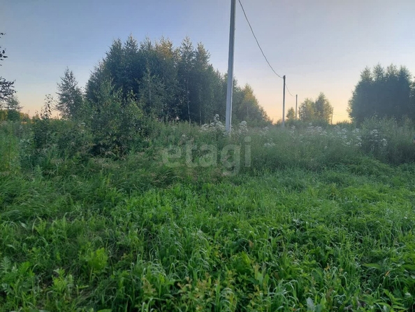 
  Продается земельный участок, 10 соток, село Ребровка
. Фото 1.