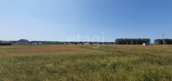
  Продается земельный участок, 9.5 соток, село Усть-Заостровка
. Фото 2.
