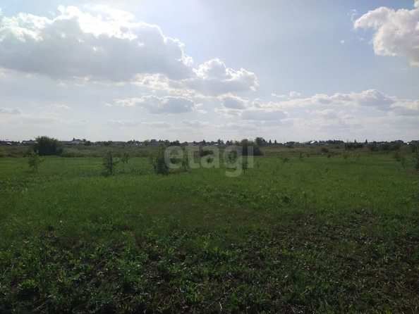 
  Продается земельный участок, 120 соток, село Ребровка
. Фото 4.
