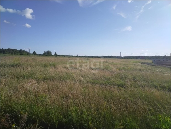 
  Продается земельный участок, 8.08 соток, село Надеждино
. Фото 2.