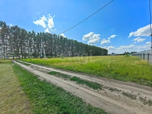 
  Продается земельный участок, 10 соток, село Усть-Заостровка
. Фото 2.