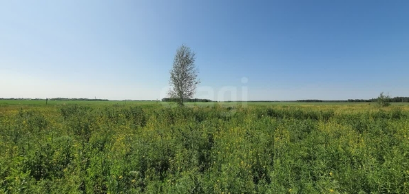 
  Продается земельный участок, 10 соток, село Усть-Заостровка
. Фото 2.