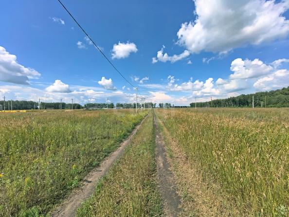 
  Продается земельный участок, 15 соток, село Усть-Заостровка
. Фото 1.