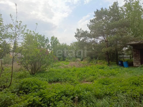 
  Продается земельный участок, 8 соток, село Усть-Заостровка
. Фото 1.