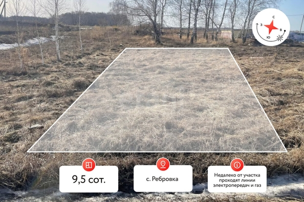 
  Продается земельный участок, 9.5 соток, село Ребровка
. Фото 5.