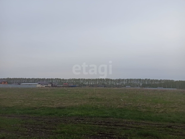 
  Продается земельный участок, 10 соток, село Усть-Заостровка
. Фото 3.