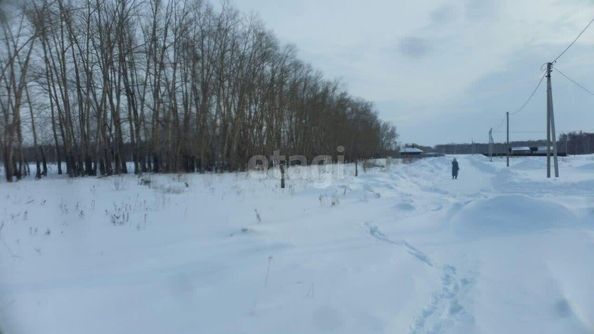 
  Продается земельный участок, 10 соток, село Усть-Заостровка
. Фото 2.