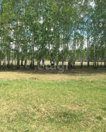 
  Продается земельный участок, 10 соток, село Усть-Заостровка
. Фото 4.