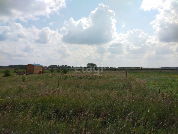 
  Продается земельный участок, 10.9 соток, село Ребровка
. Фото 2.
