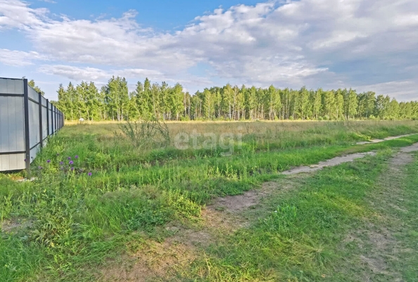 
  Продается земельный участок, 15 соток, село Усть-Заостровка
. Фото 3.