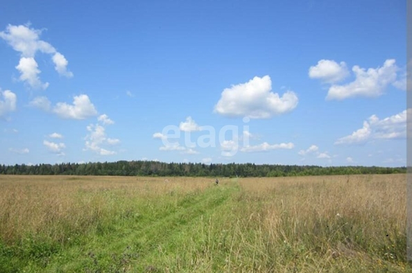 
  Продается земельный участок, 12 соток, село Красноярка
. Фото 4.