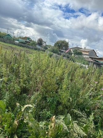 
  Продается дом, 55 м², Омск
. Фото 5.