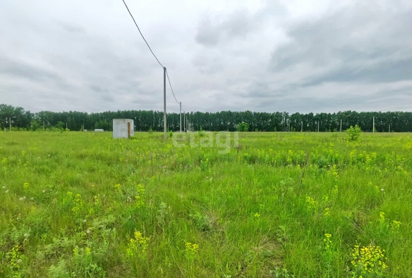 
  Продается земельный участок, 10 соток, поселок Иртышский
. Фото 3.