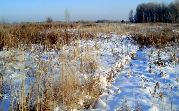 
  Продается земельный участок, 16.1 соток, село Лежанка
. Фото 2.