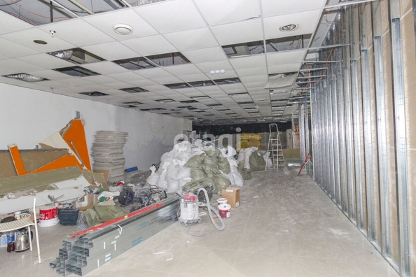 
  Сдается универсальное помещение, 200 м², Карла Либкнехта ул, д. 11
. Фото 1.