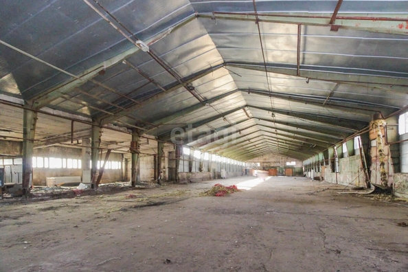 
  Сдается производственное помещение, 3300 м², Седова ул, д. 55
. Фото 2.