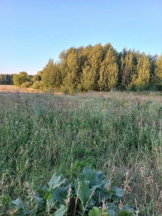 
  Продается земельный участок, 910 соток, село Усть-Заостровка
. Фото 3.