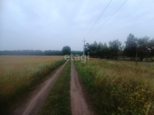 
  Продается земельный участок, 750 соток, село Усть-Заостровка
. Фото 3.