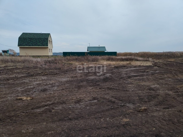
  Продается земельный участок, 10 соток, село Ребровка
. Фото 4.