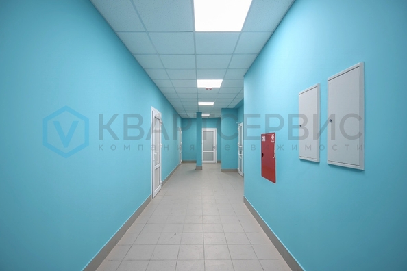
  Сдается универсальное помещение 250 м², в ЖК Жуковка. Фото 2.