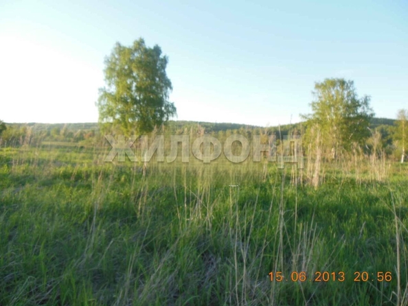
  Продам  дачный участок, 25 соток, Лучаново

. Фото 3.