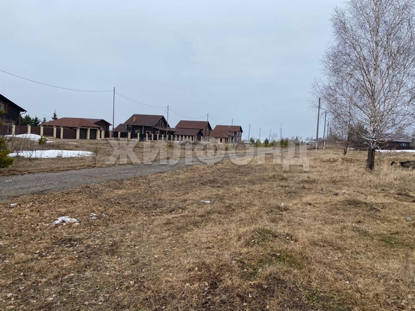 
  Продам  дачный участок, 12 соток, Победа

. Фото 2.