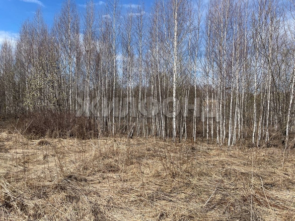 
  Продам  дачный участок, 6 соток, Томск

. Фото 3.