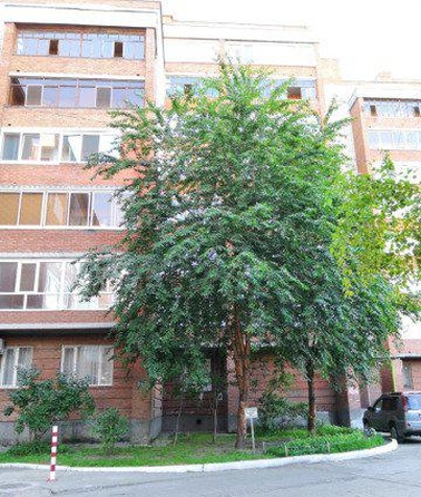 
  Продается 3-комн. квартира, 110 м², Тихий пер, д. 28
. Фото 16.