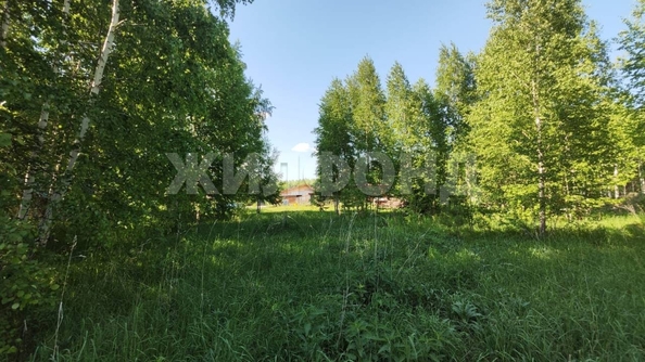 
  Продам  дачный участок, 13.2 соток, Синий Утёс

. Фото 2.