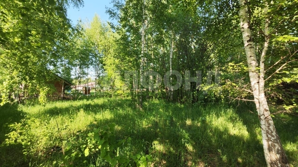 
  Продам  дачный участок, 13.2 соток, Синий Утёс

. Фото 3.