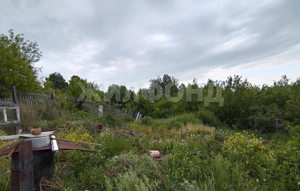 
  Продам  дачный участок, 10 соток, Томск

. Фото 8.