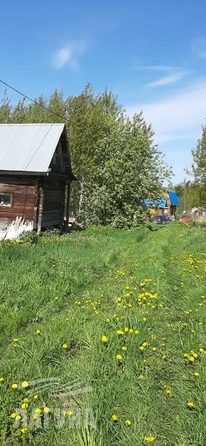 
  Продается дача, 24 м², территория сдт Мемориал-4 (п Апрель)
. Фото 6.
