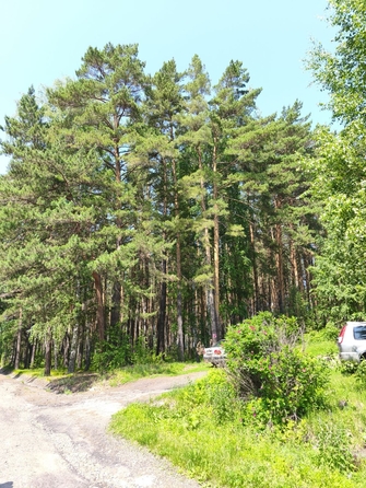 
  Продается 2-комн. квартира, 38.5 м², Лесная Дача ул, д. 4
. Фото 14.