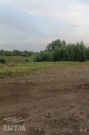 
  Продается земельный участок, 15 соток, Томск
. Фото 5.