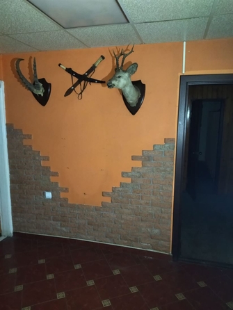 
  Продается готовый бизнес, 306 м², Учебная ул
. Фото 8.